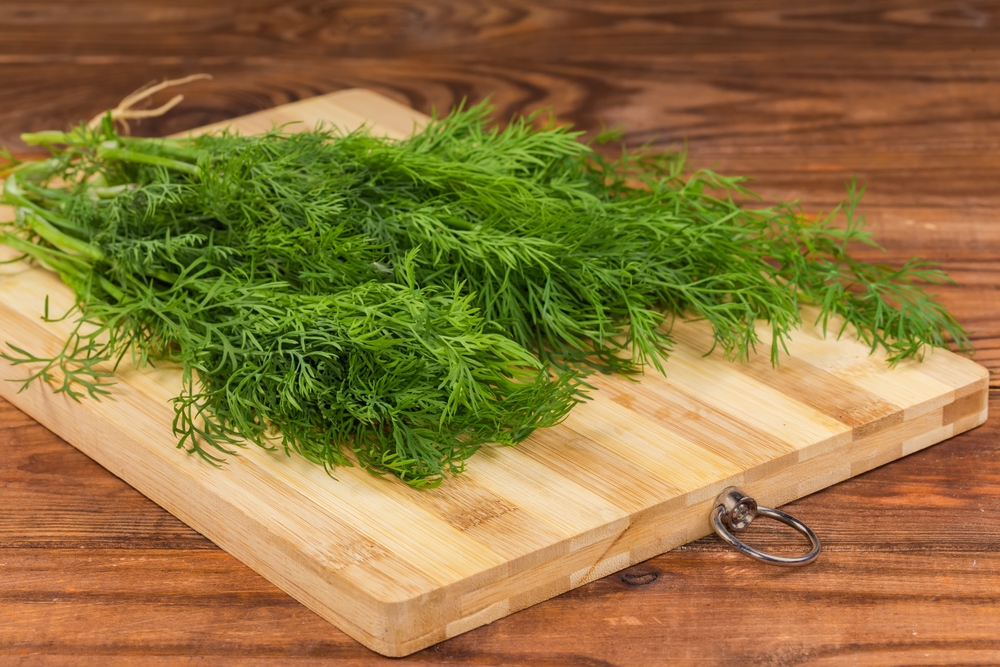 Can Canines Eat Dill? Vet-Verified Food regimen Particulars & Preparation Ideas – Dogster